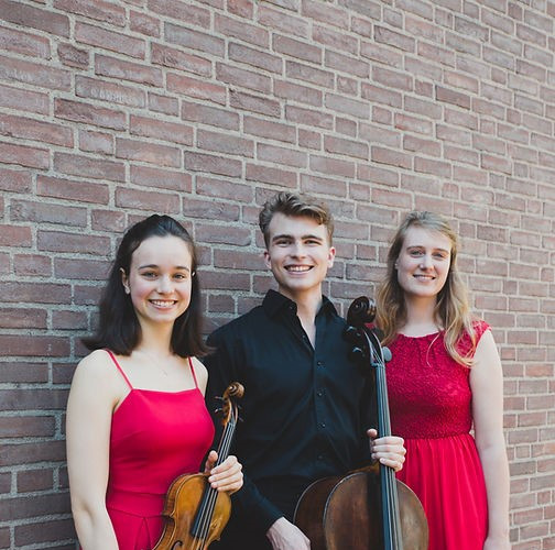 Musikkens venner: Brioso trio
