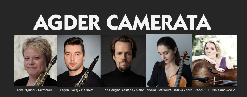 Musikkens venner: Agder Camerata