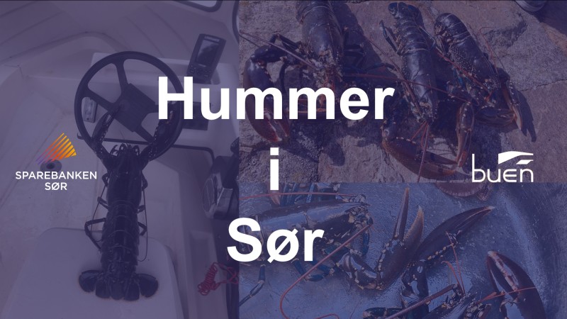 hummer i sør ferdig